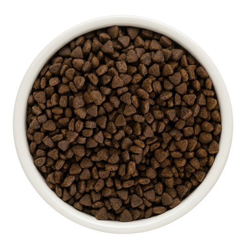 "Aldagon - food for dragons" JUNIOR — Starter food for newborn and growing puppies of all breeds, with probiotic