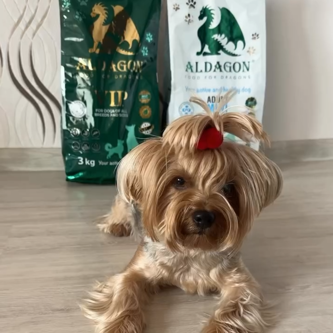 Hrana Premium pentru Câini - Aldagon VIP: Hrana Gluten-Free pentru Toate Rasele