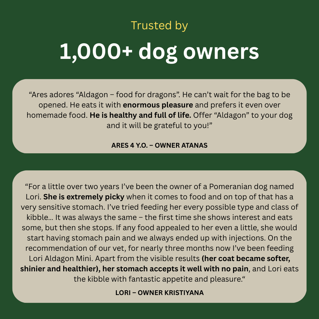 VIP — Ultra-Premium Gluten-Free Dog Food For All Breeds - KIBBZ - Curated Pet Provisions